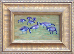 Canadian Geese