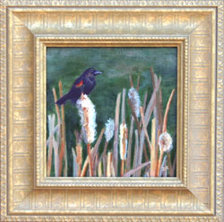 Red-winged Blackbird